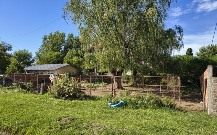 La Carolina (Alvear) – Lote de Terreno