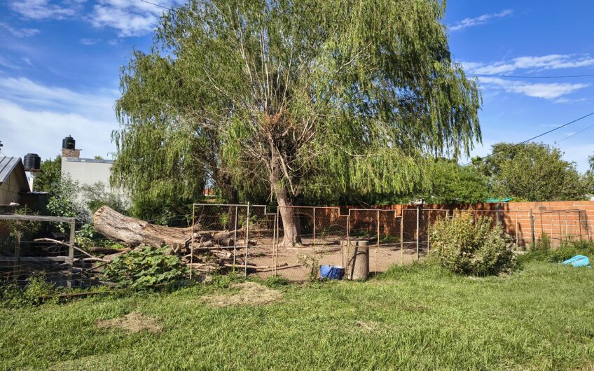 La Carolina (Alvear) – Lote de Terreno