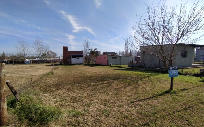 Tierra de Sueños 3 – Roldán