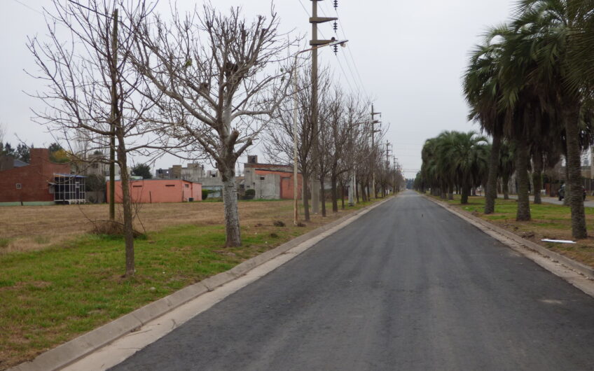 Tierra de Sueños 3 – Roldán